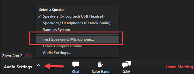 screenshot of audio settings in zoom